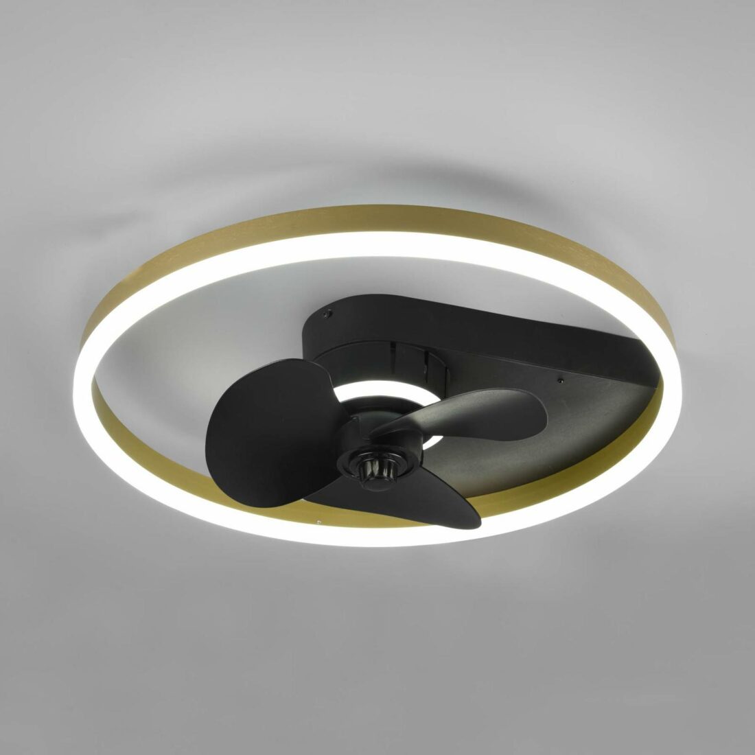 Stropní ventilátor Borgholm s LED