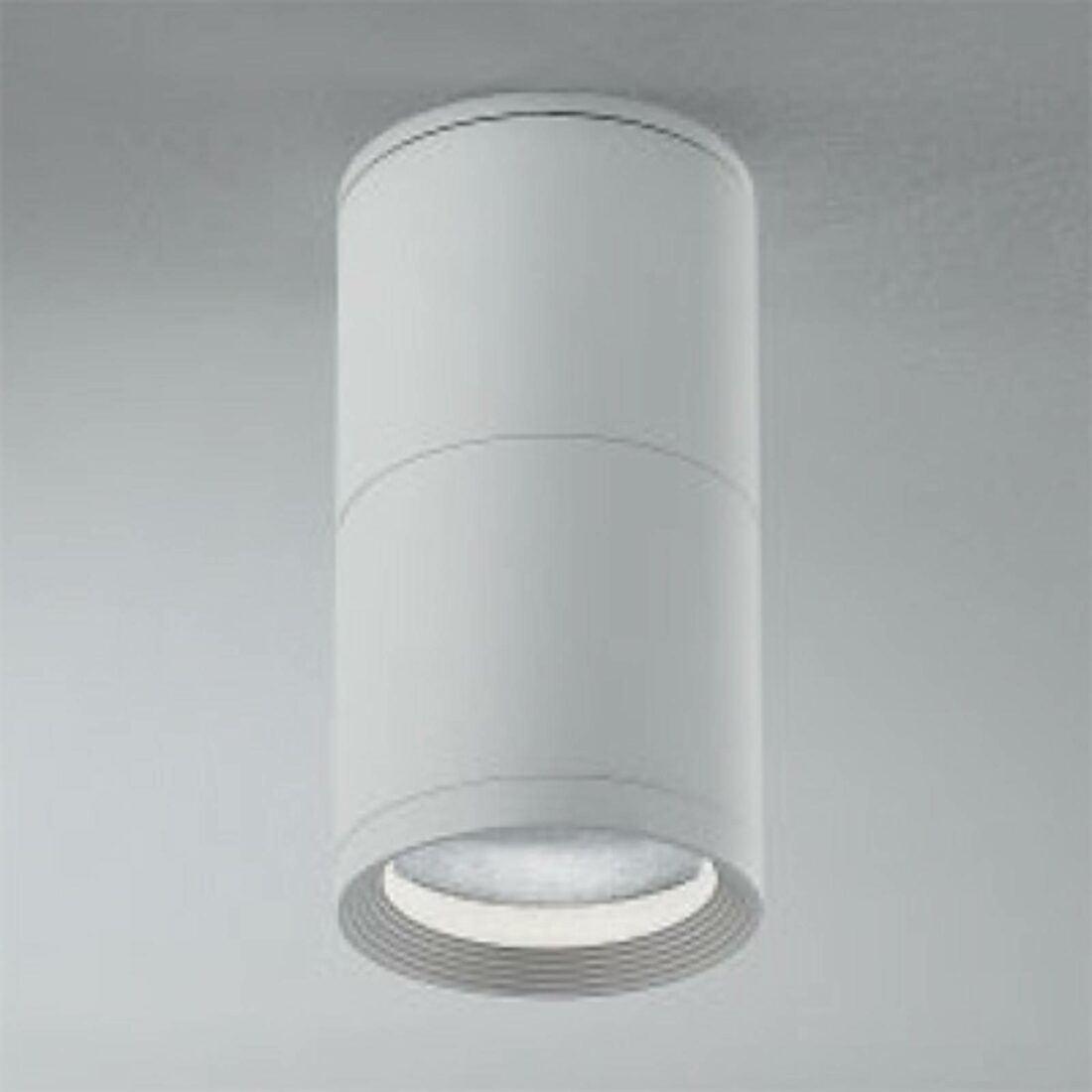 Moderní stropní reflektor CL 15 bílá